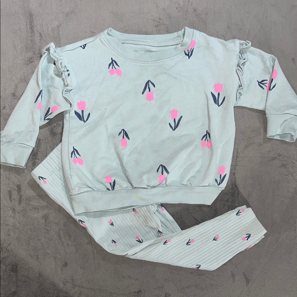 Carter's Light Blue and Pink Toddler Matching Set